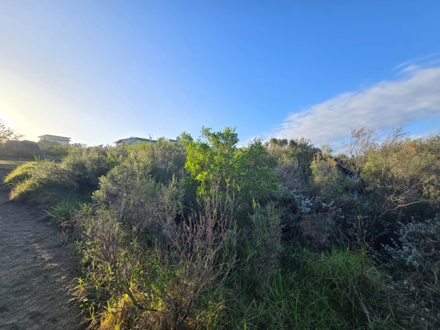 0 Bedroom Property for Sale in Oubaai Western Cape